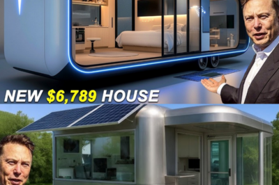 Elon Musk’s $7,579 Tesla Tiny House reveal shakes the housing market — a compact powerhouse built to live, work, and thrive off the grid.