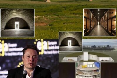 “Elon Musk Surprises the World Again — This Time With a Fortune Dedicated to Hope and Opportunity”