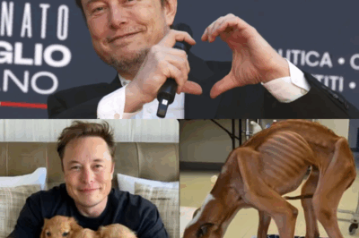Elon Musk’s incredible act of kindness: rescuing a dog and pledging $10 million to support animals in need.