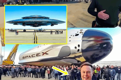 Elon Musk Reveals Hypersonic Spacecraft Promising Global Travel in Just 1 Hour, Declaring ‘This Is Just the Beginning’ .
