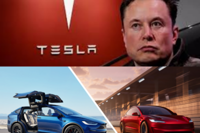 IT HAPPENED! Elon Musk finally announces the 2025 Tesla Model 2 with full details revealed .