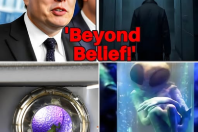 Elon Musk Reportedly Enters Area 51 and What He Uncovered Inside Has the World Struggling to Believe It