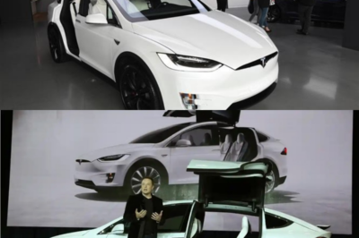 Tesla backlash grows as Model Y owners report being trapped by faulty door handles—critics slam Musk’s vision