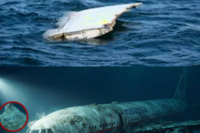 “MH370 FINALLY FOUND: 11 Years Lost in the Deep Ocean — What Experts Discovered Will Terrify You!” After 11 long years of searching, MH370 has finally been found deep in the ocean, and the discoveries inside the wreckage are more terrifying than anyone could have imagined. Experts have uncovered hidden clues, disturbing remnants, and strange objects that suggest the plane’s disappearance wasn’t just an accident. The shocking truth behind the wreckage could rewrite everything we thought we knew about this infamous aviation mystery 👇