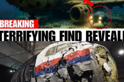 “Shocking New Discovery: Wreckage of Malaysia Airlines Found — What Experts Found Will Leave You Speechless!” The wreckage of Malaysia Airlines Flight MH370 has been found, and the shocking discoveries inside are more disturbing than anyone imagined.