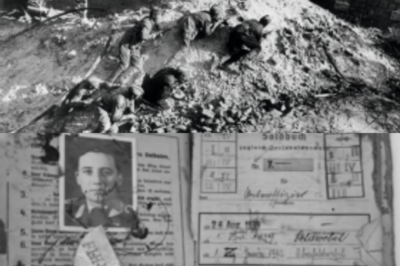 The Stalingrad Bunker They Sealed for 83 Years – Finally Opened