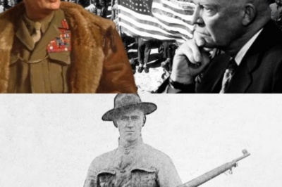 The $28 Rifle That Outfought Every Springfield America Ever Issued…