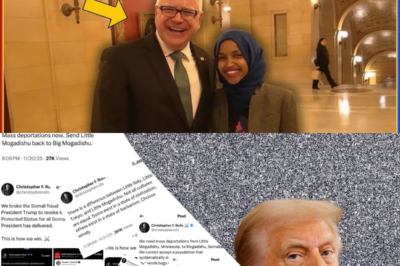 Somali Welfare Scam TAKES DOWN Another Democrat