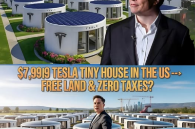 NEWS FLASH: Elon Musk’s Tesla Tiny House officially launches, sparking wild excitement and frenzied reactions across the country