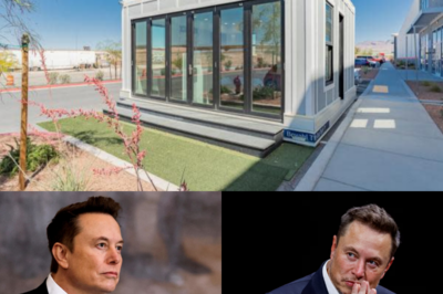 ELON MUSK ANNOUNCES 100 TESLA TINY HOUSES READY TO SHIP — FREE BILLS, ZERO TAXES, AND SURPRISING INTERIORS!