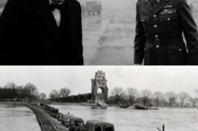 What Churchill Said When Montgomery Demanded Patton Be Fired After Crossing the Rhine First