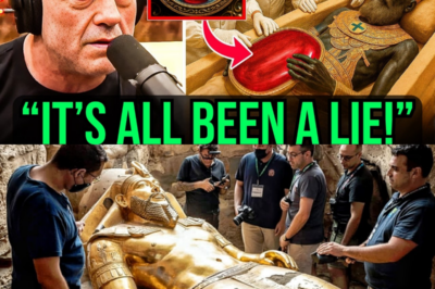 People are at a loss for words! Scientists have finally opened King Solomon’s Tomb after 5,000 years, and the findings are shocking.
