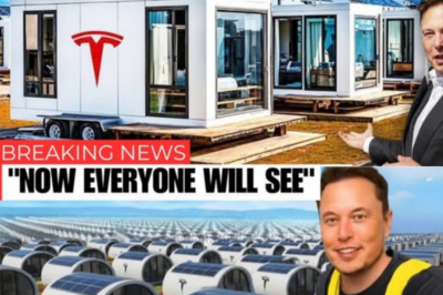 OFFICIAL ANNOUNCEMENT – Elon Musk officially unveils the $7,999 Tesla micro-house! Land and tax-free – Unbelievable!