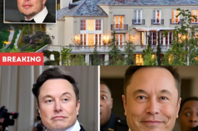 Elon Musk Gets Thrown Out of a Luxury Hotel… So He Buys the Whole Building
