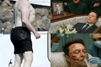 1 Hour Ago — Tragedy on the Hudson: Elon Musk’s Yacht Explodes Before Hundreds of Witnesses, Leaving Only Scattered Debris Afloat.