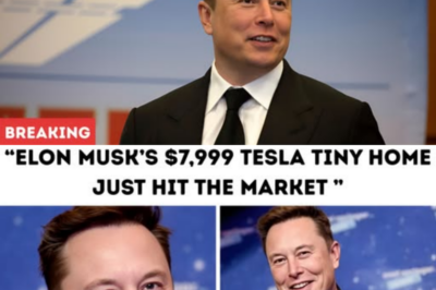Elon Musk’s $7,999 Tesla Tiny Home Just HIT the Market — Free Land, Zero Taxes & Solar Power for Life!