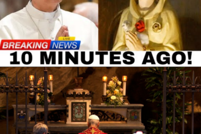 SHOCKING MIRACLE OR DARK WARNING? THE STATUE OF MARY WEPT BLOOD DURING MASS—AND POPE LEO XIV REFUSED TO HALT THE CEREMONY