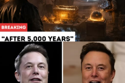 Elon Musk Stunned as King Solomon’s Tomb Is Finally Opened After 5,000 Years