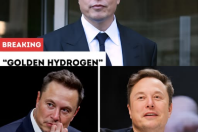Elon Musk shocked the world with the discovery of a giant underground “Golden Hydrogen”: A clean energy source that can supply the planet for more than 1,000 years, can completely replace fossil fuels and open an unprecedented era of sustainability.