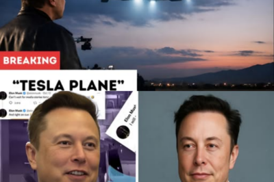 Elon Musk’s $13 Billion “Tesla Plane” Leaves the World Speechless