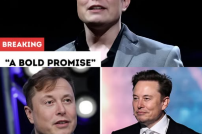 Elon Musk unveils the 2025 Tesla Model 2 under $20,000, featuring a revolutionary water engine, next-gen autopilot, and a bold vision for global green transportation.