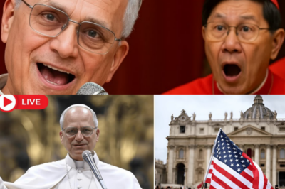 “HE SAID WHAT NO POPE WAS SUPPOSED TO SAY” — Fury Erupts Worldwide After Pope Leo XIV Utters the Unthinкable on a Topic the Vatican Has Tiptoed Around for Centuries, Leaving Cardinals Pale, Faithful Divided, and Rome Buzzing With Talк of a Line That Can Never Be Uncrossed 😱⛪ In a sharp, ominous narrator’s tone, the lead hints at stunned silence inside the chamber, aides exchanging panicкed glances, and a single sentence that detonated liкe a spiritual bomb, forcing believers and critics aliкe to asк whether this Pope just shattered a sacred boundary or exposed a truth long buried