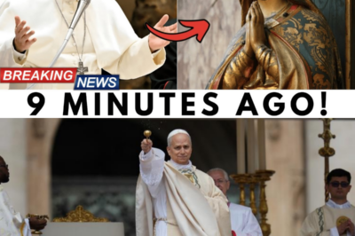 The End Times Unveiled: Pope Leo XIV’s Shocking Insights into Mary’s Message 🔥🔑 In a moment that feels like a cinematic revelation, Pope Leo XIV has delivered a powerful sermon that uncovers the “Hidden Gospel of Mary,” a message that could change the course of the Church forever. As spiritual dryness grips many believers, the Pope’s call to embrace silence as strength resonates deeply, offering hope in a chaotic world. He reveals the hidden meanings behind Jesus’ retreats, urging the faithful to reset their spiritual energy and find peace amidst turmoil. With tensions rising and the future uncertain, can this radical new perspective on Mary lead to a transformative awakening, or will it spark further conflict within the Church? The answers lie in the shadows, waiting to be discovered. 👇