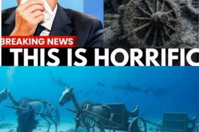 Divers Just Found a 1.5-Mile Chariot Graveyard in the Red Sea — and It Changes Everything