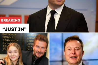 JUST IN: Shocking rumor involving Harper Beckham spreads online, but sources say the truth is far from what social media claims