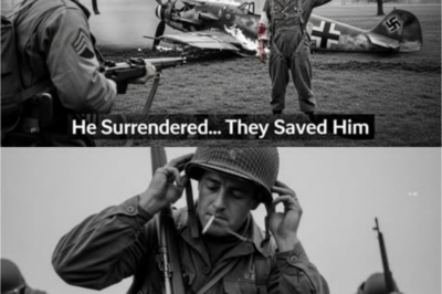 Luftwaffe Ace Shot Down 5 Americans — Then They Saved His Life and Made Him a Test Pilot DT