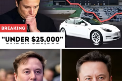 Tesla Model 2 charges itself as Elon Musk unveils a futuristic, ultra-affordable EV that could end gas cars forever.