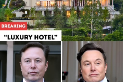 Elon Musk Gets Thrown Out of a Luxury Hotel… So He Buys the Whole Building