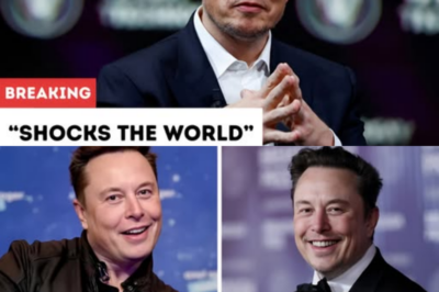 Elon Musk Shocks the World With Bold Philanthropic Move: Donates Entire $14.9 Million Tour Earnings to Build Homes for the Homeless
