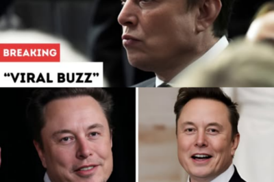 NEWS FLASH: Elon Musk’s unexpected reaction to questions about his divorce on live television sparks disbelief and viral buzz