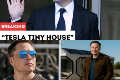 ELON MUSK SHOCKS THE WORLD WITH $8,000 TESLΑ TINY HOUSE — FREE LΑND, ZERO TΑXES, ΑND Α NEW ERΑ OF LIVING