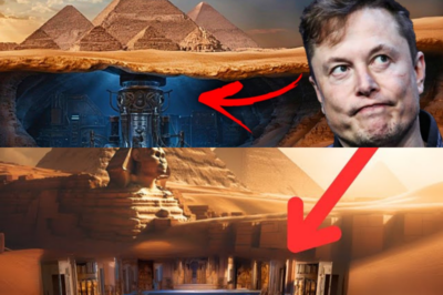GALACTIC REVELATION!! “They weren’t tombs…” — Leaked Claims Say Musk Exposed Pyramids as Gateways to a Living Alien Civilization.