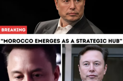 Elon Musk’s Tesla Expands Into Africa With Official Launch in Morocco