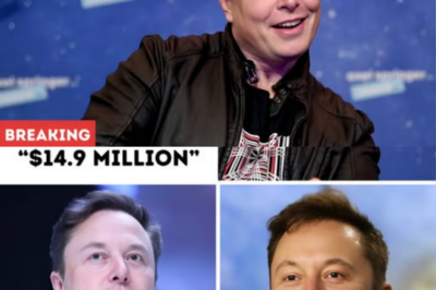 Elon Musk Shocks the World With Bold Philanthropic Move: Donates Entire $14.9 Million Tour Earnings to Build Homes for the Homeless