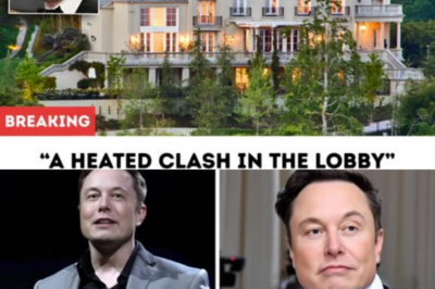 Elon Musk Gets Thrown Out of a Luxury Hotel… So He Buys the Whole Building