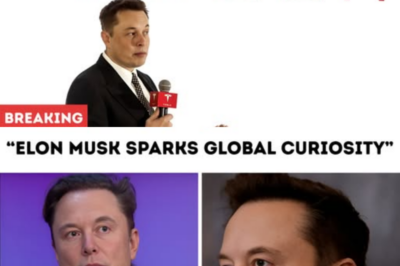 Elon Musk Sparks Global Curiosity: Tesla’s Futuristic Clean-Energy City Set to Open in Early 2026