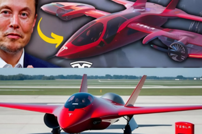 Elon Musk Unveils Tesla’s First-Ever Electric Plane Prototype — A Game-Changer for the Future of Aviation