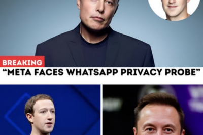 Elon Musk Reignites Feud With Mark Zuckerberg as Meta Faces WhatsApp Privacy Probe