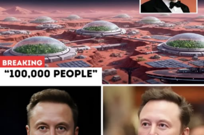 Billionaire and SpaceX CEO Elon Musk says he’s confident that Starship will soon land humans on Mars — but he’s thinking way bigger than that. Musk believes building a self-sustaining Mars colony will take over 100,000 people and 1 million tons of cargo!