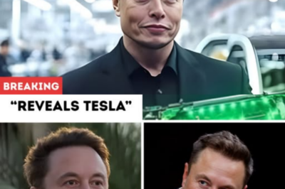 Elon Musk Reveals Tesla’s Revolutionary Battery That Could Power Entire Cities for Weeks, Shattering Oil Markets and Ending Energy Scarcity Forever .