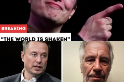 The World Is Shaken: Elon Musk Unmasks the Dark Conspiracy Behind Epstein’s Blacklist