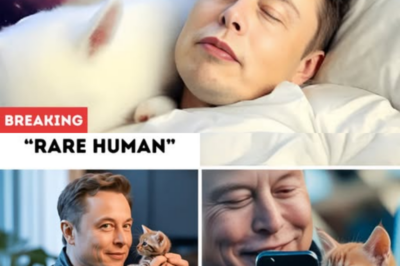 Elon Musk reveals a rare human moment as a kitten and a sudden fire draw him into an unexpected escape.