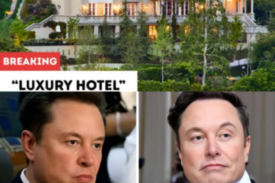ELON MUSK GETS THROWN OUT OF A LUXURY HOTEL… SO HE BUYS THE WHOLE BUILDING