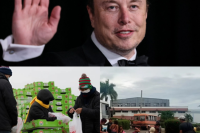Breaking news: Elon Musk’s $500,000 shipment lands in Jamaica, and a single mysterious line inside has everyone talking.
