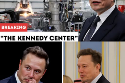 Elon Musk Launches a Billion-Dollar Project Exclusively for Women — The Shocking Reason Will Leave You Speechless .