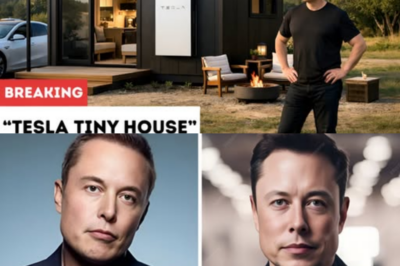 Tesla Tiny House madness: Elon Musk launches $7,999 model with free land and $0 tax, inside revealed! .